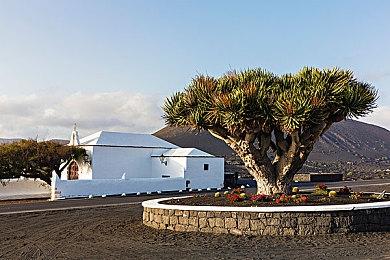 《无主之地4》全球解锁时间曝光 更像是2代正统续作