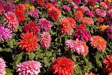 英伟达《黑神话》海外宣发 让老外了解《西游记》