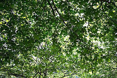 类恶魔城ARPG《曼陀罗》公布 商店页面已上线